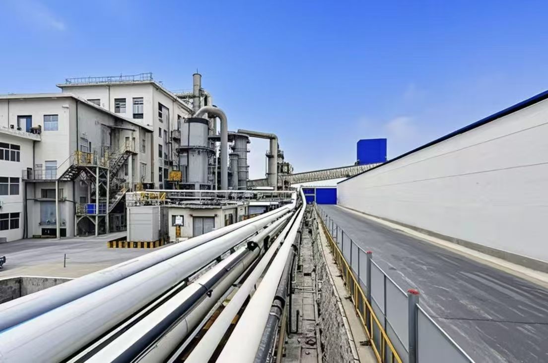 1764116575681904.jpeg
